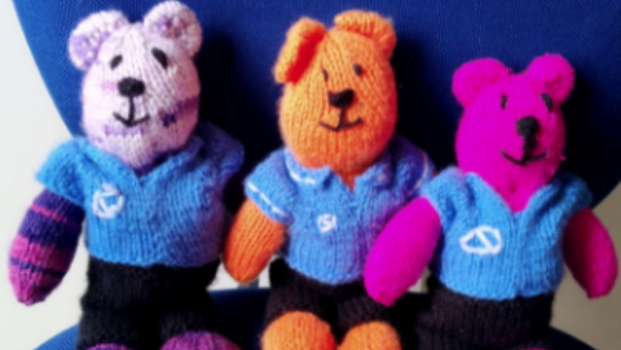 A New Lockdown Talent - Bluebird Care Bears!