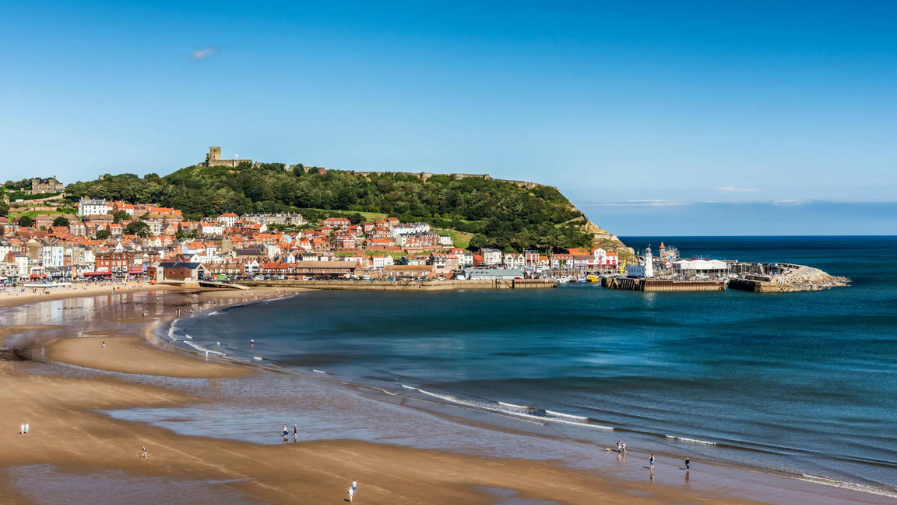 Scarborough news dimension