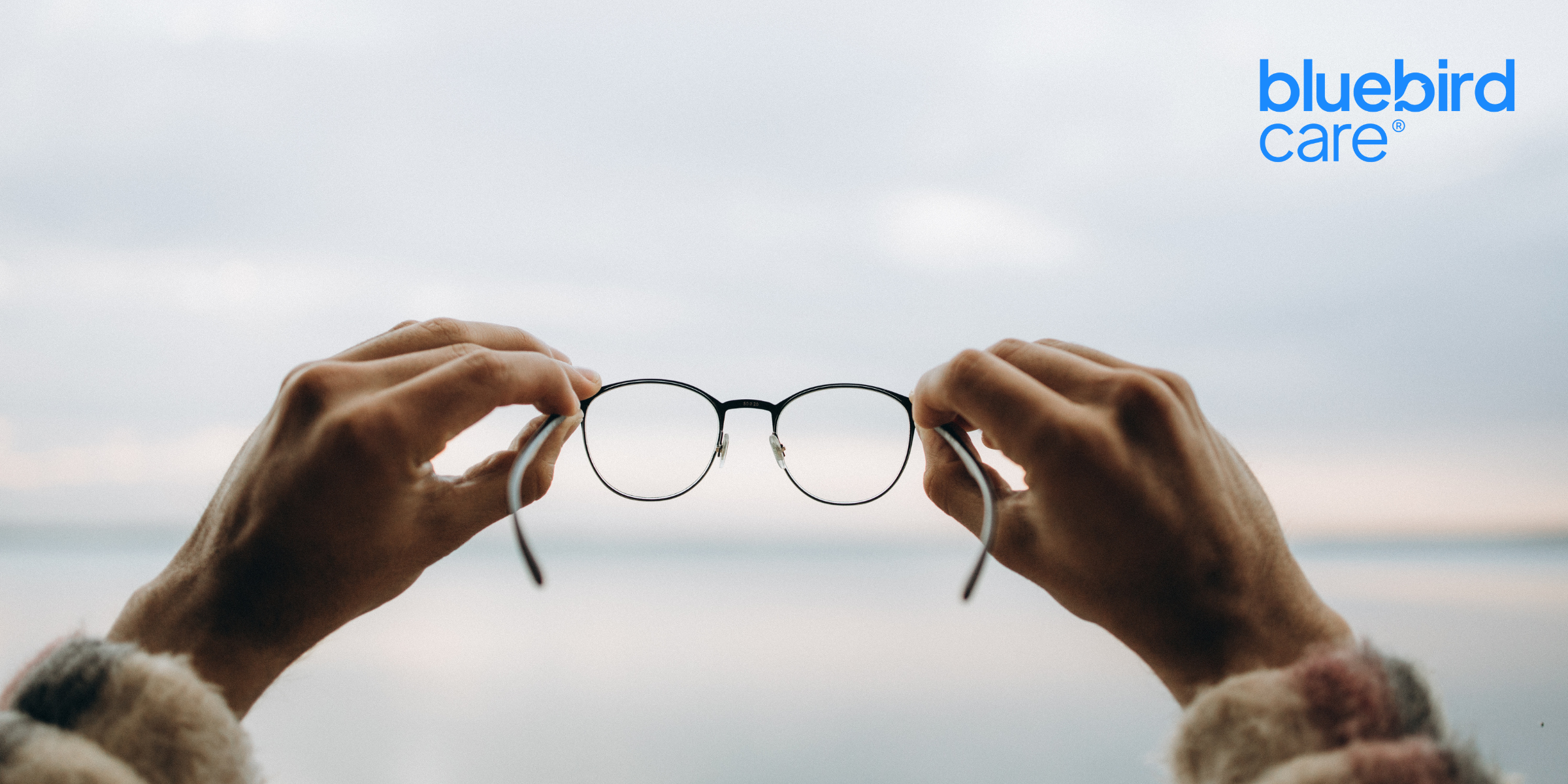 glasses