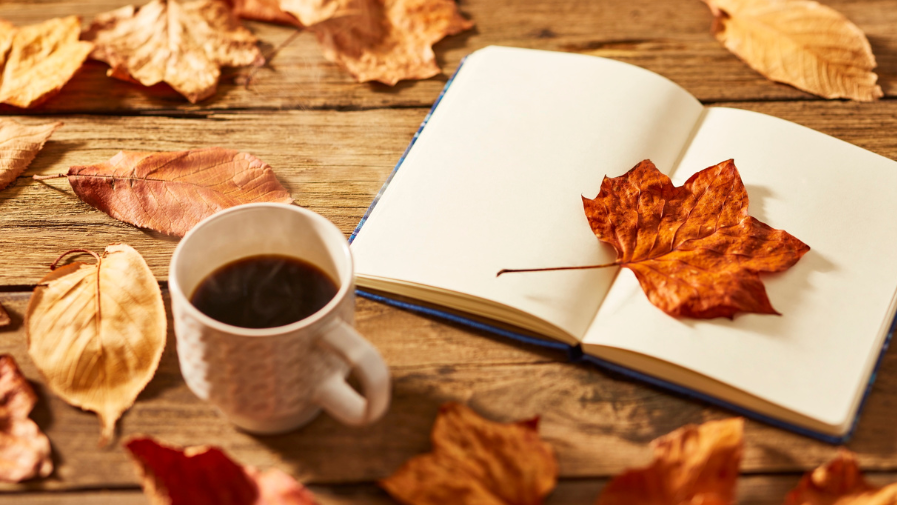 autumn news autumn news