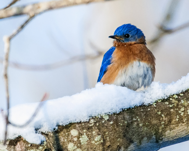 Think WARMTH to save lives this winter - NO LOGO