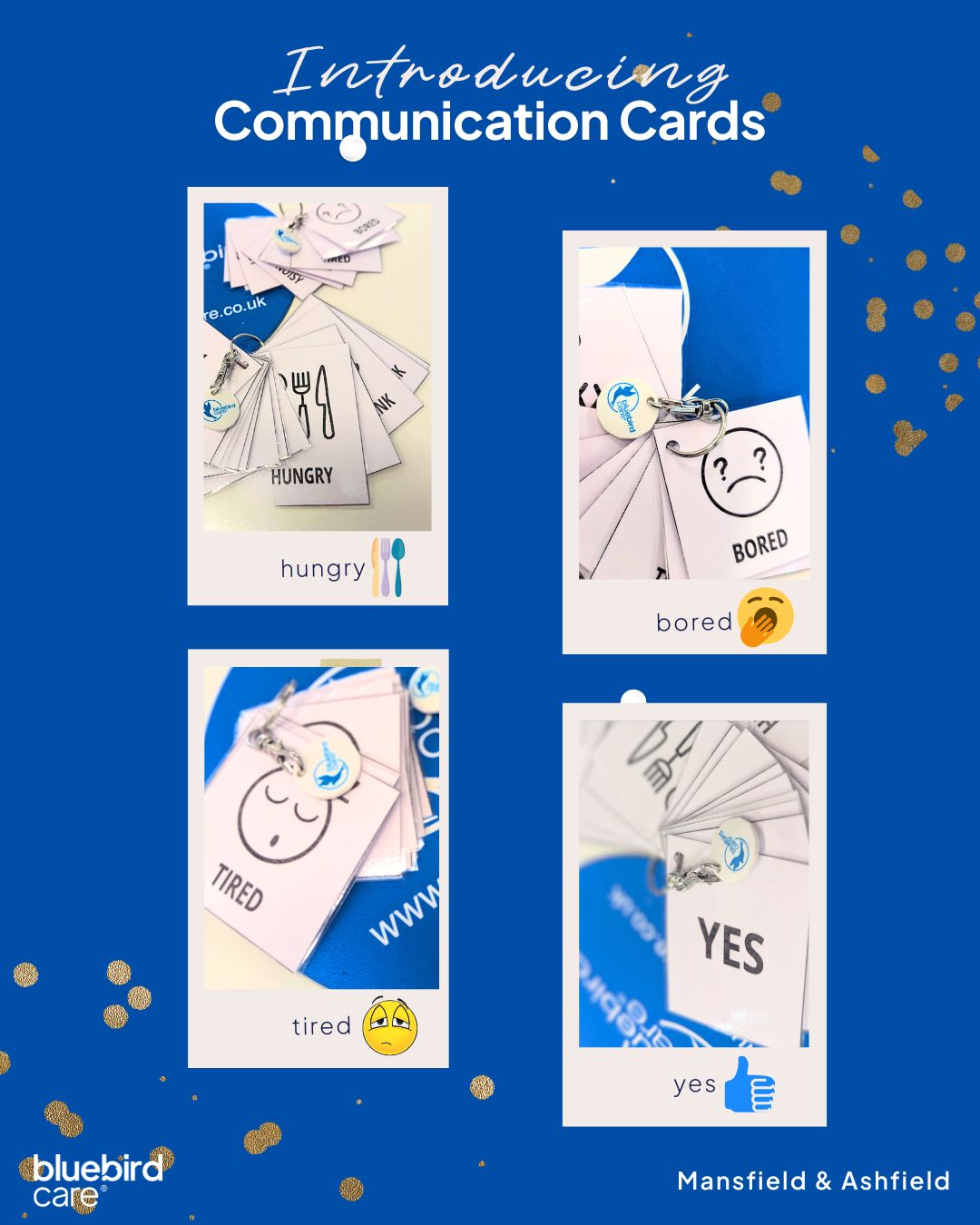 Introducing Communication Cards Introducing Communication Cards