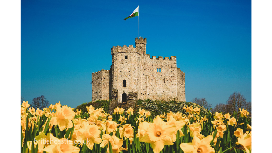 Cardiff