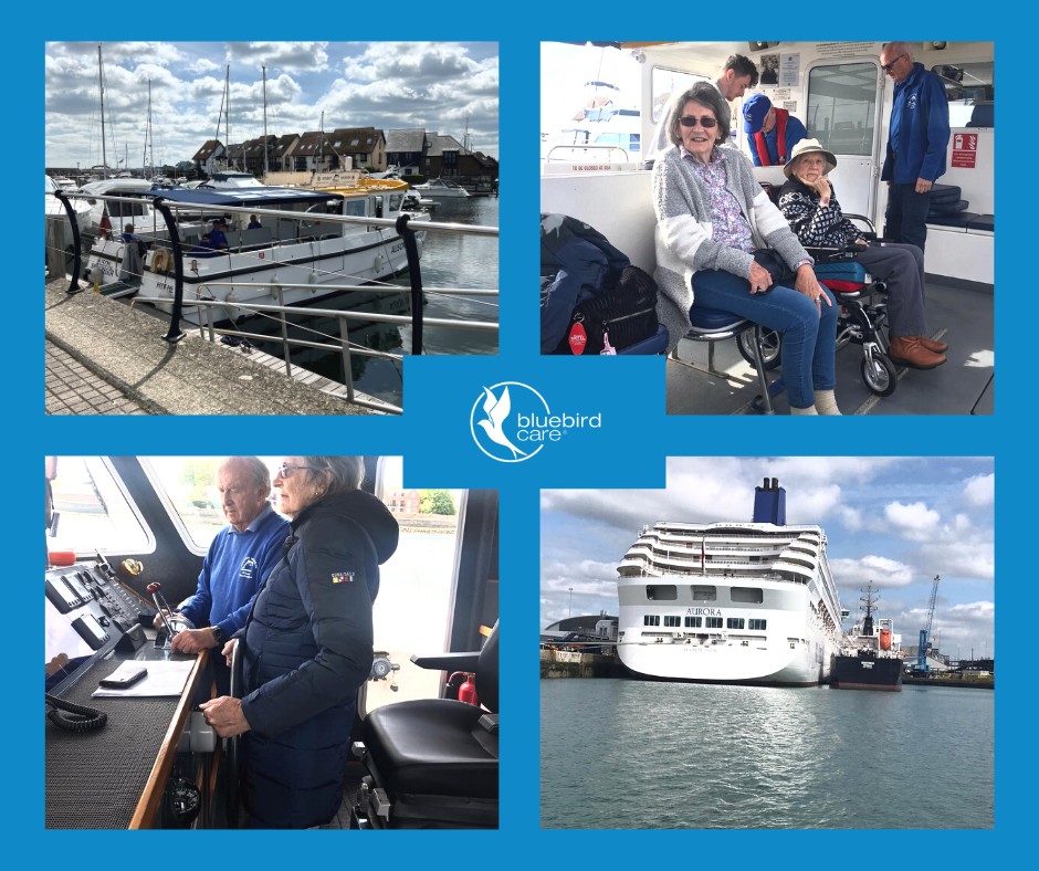 solent dolphin charity 