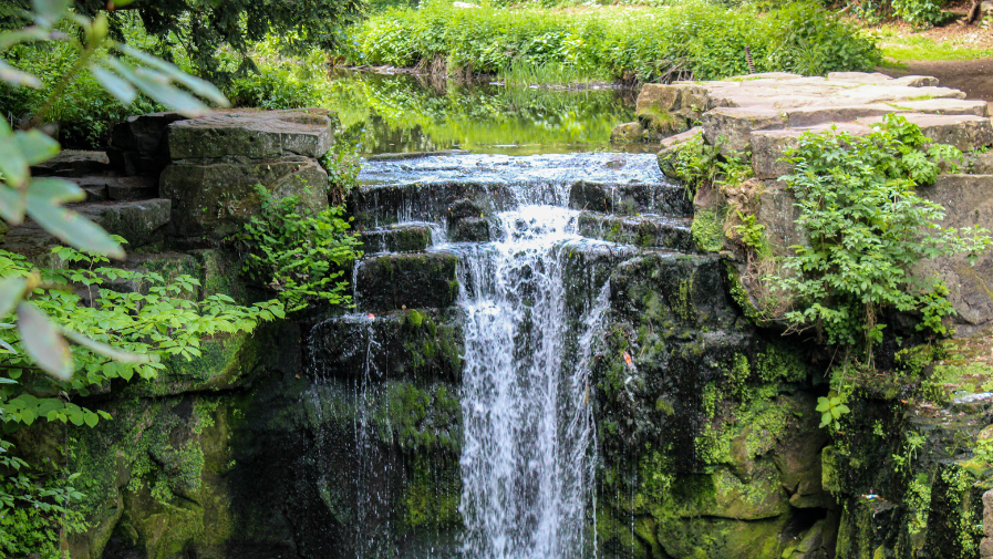 Jesmond Dene