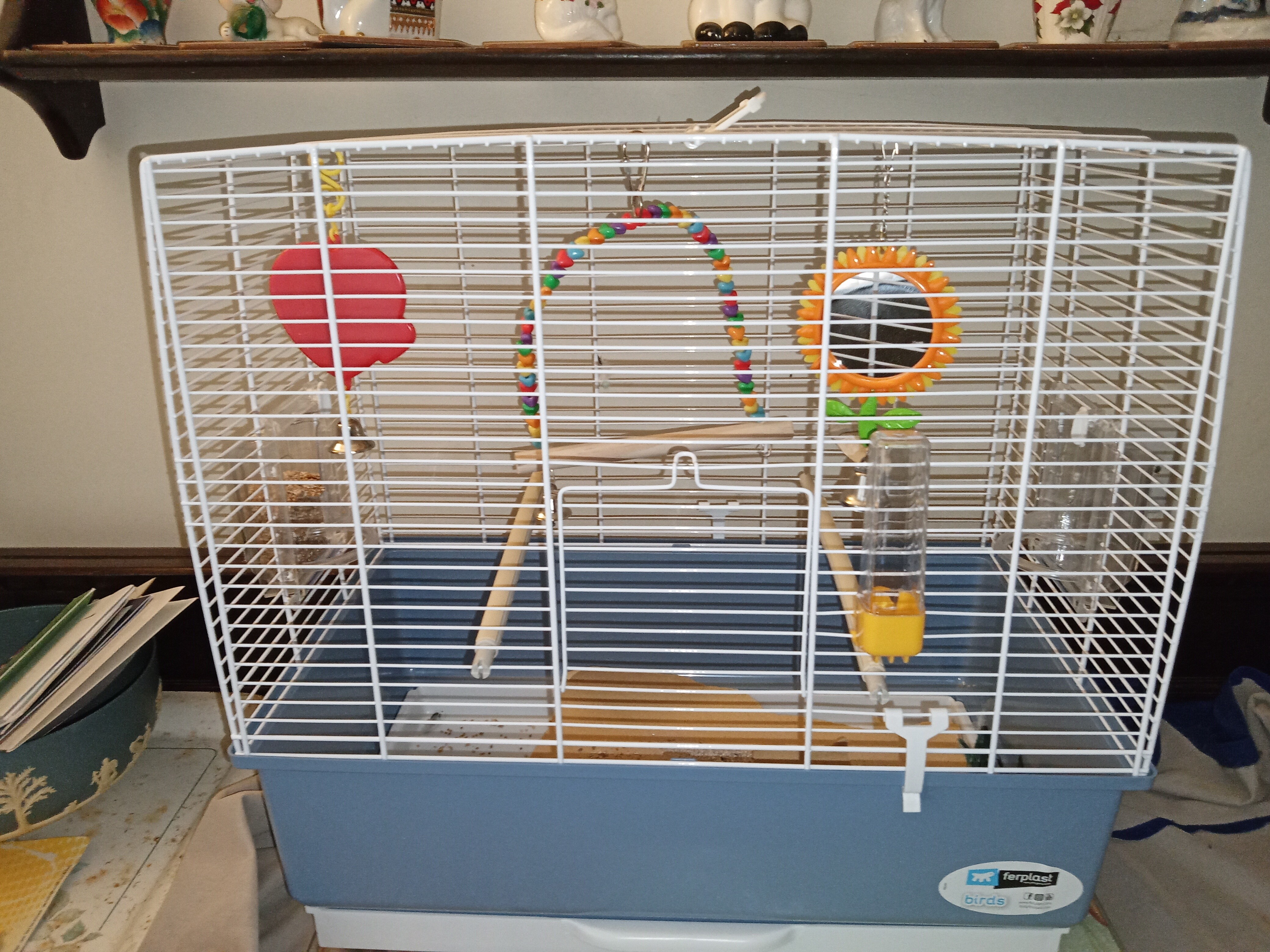 RG Bird 1